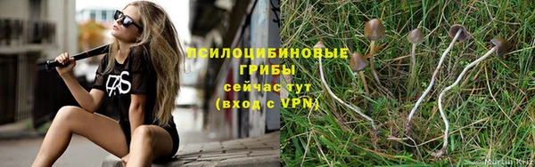 марки lsd Навашино
